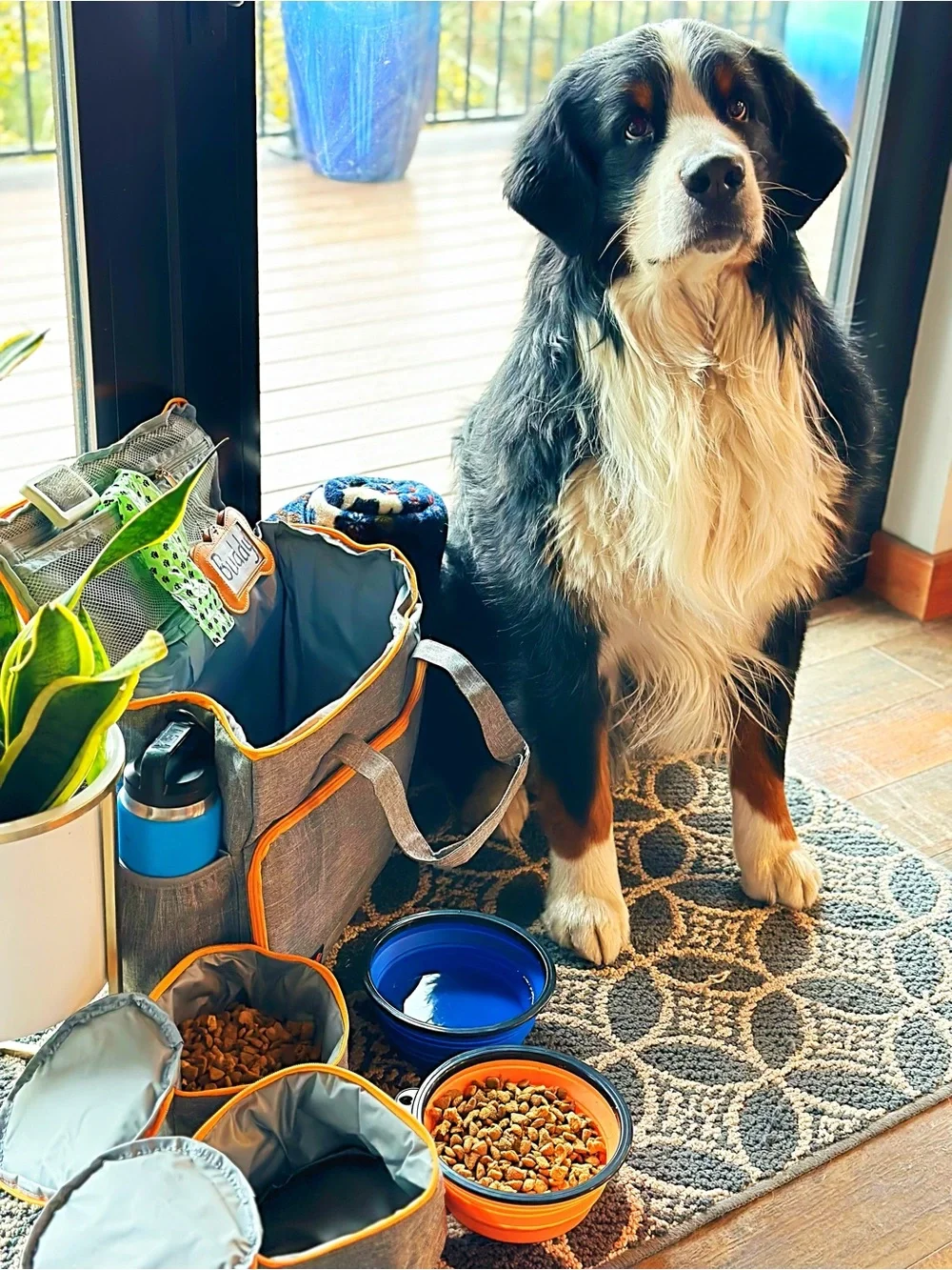 Pet Travel Bag
